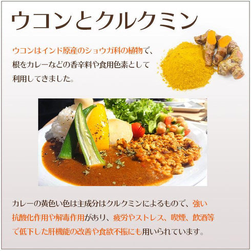 【SKU - 311】濃縮ウコンパワー クルクミン120mg配合 - サプリ専門店 ギャバ太郎SHOP本店